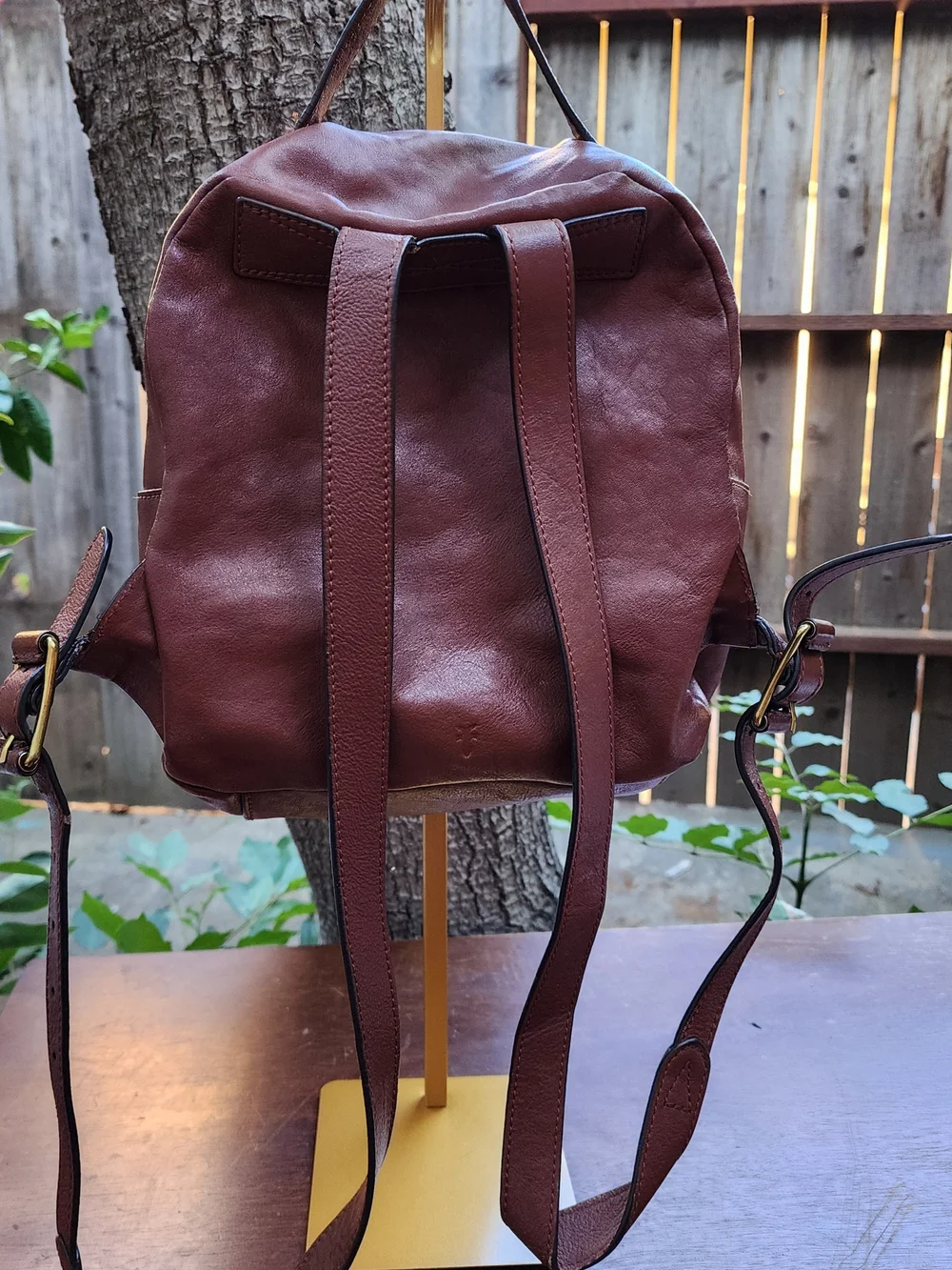 Frye Olivia Chocolate Brown Premium Leather Backpack Bag Medium